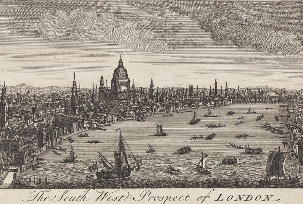 Lily by Rose&nbsp;tremain