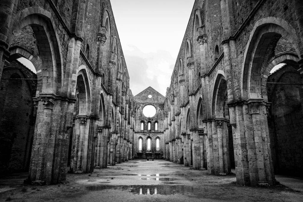 Haven by Emma&nbsp;Donoghue