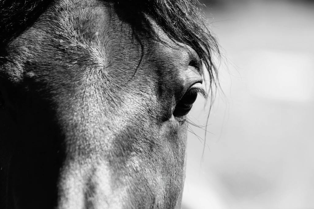 Gliff by Ali&nbsp;Smith